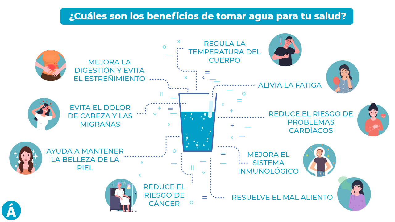 Los Efectos Sorprendentes De Tomar Un Quemador De Grasa Sin Hacer Ejercicio Aumenta Tu