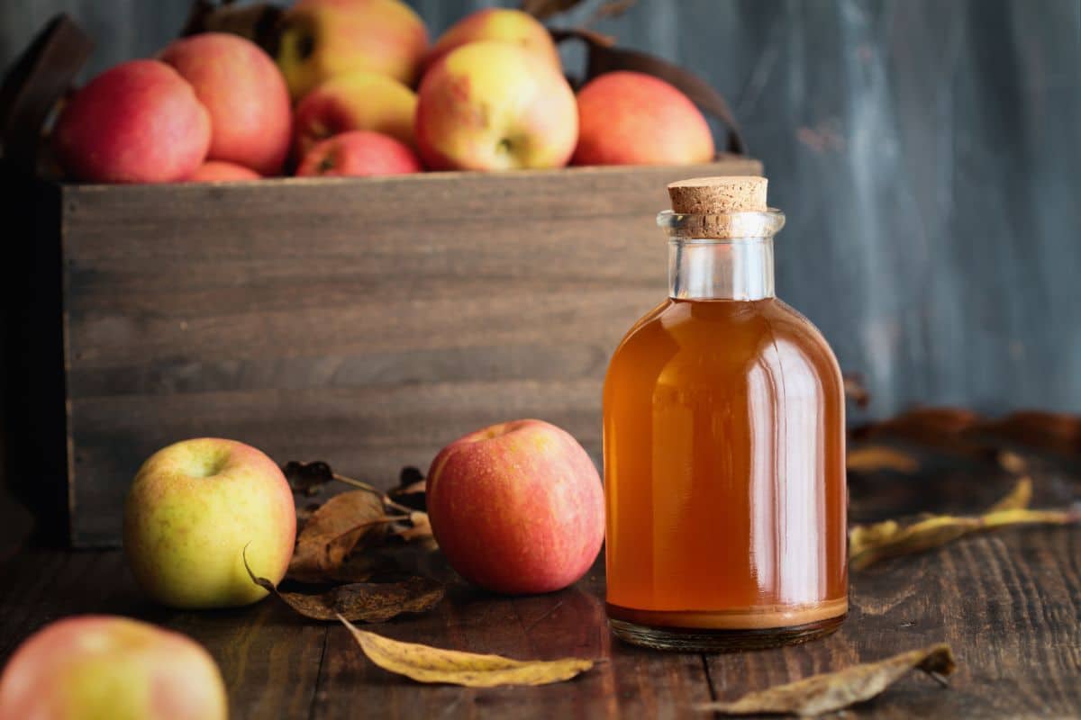 Cual Es La Sidra De Manzana Perfecta Para Disfrutar Este Verano ...